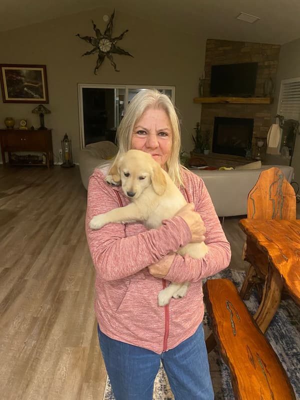 Customer photo of Golden Retriever puppy from Rhonda B.