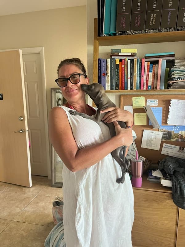 Customer photo of Italian Greyhound puppy from Lina B.