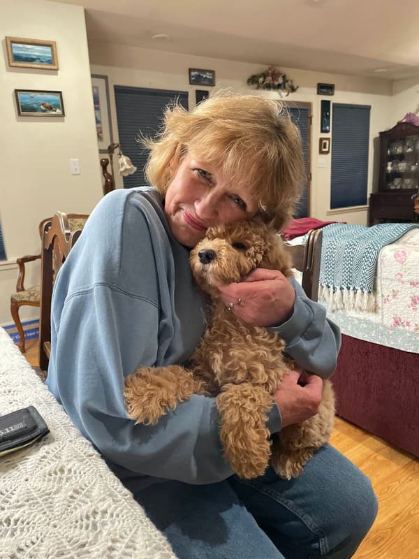 Customer photo of Goldendoodle puppy from Lila A.