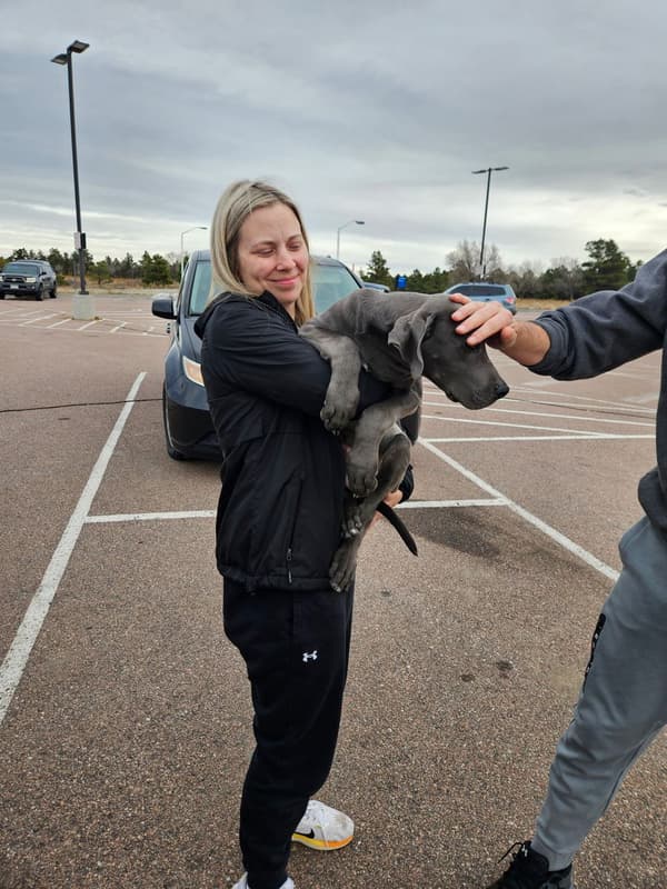 Customer photo of Great Dane puppy from Courteney P.