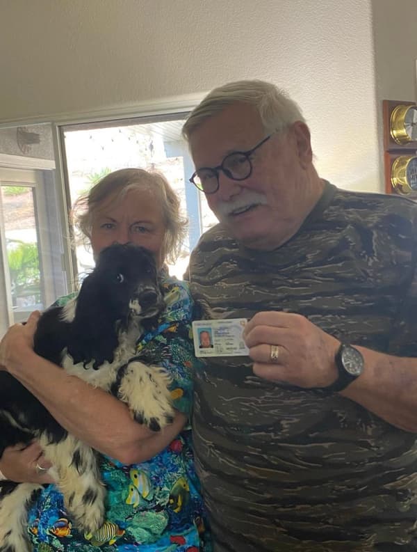 Customer photo of Cocker Spaniel puppy from Howard & Kathi D.
