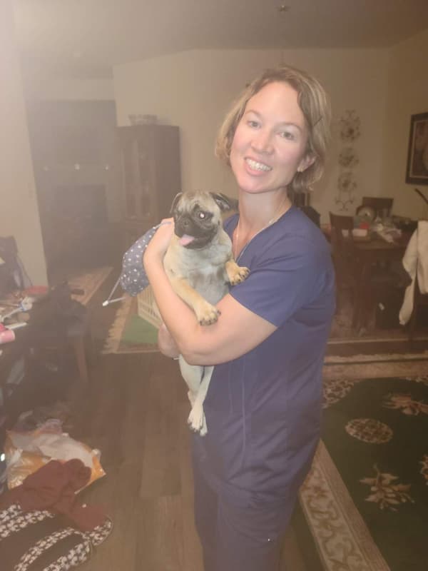 Customer photo of Pug puppy from Jess T.