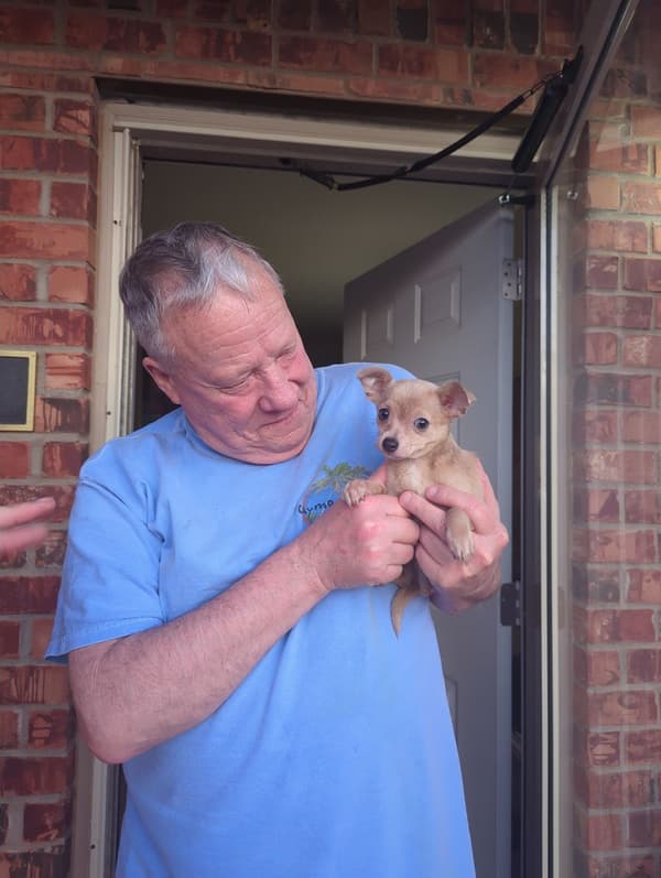 Customer photo of Chihuahua puppy from Larry M.