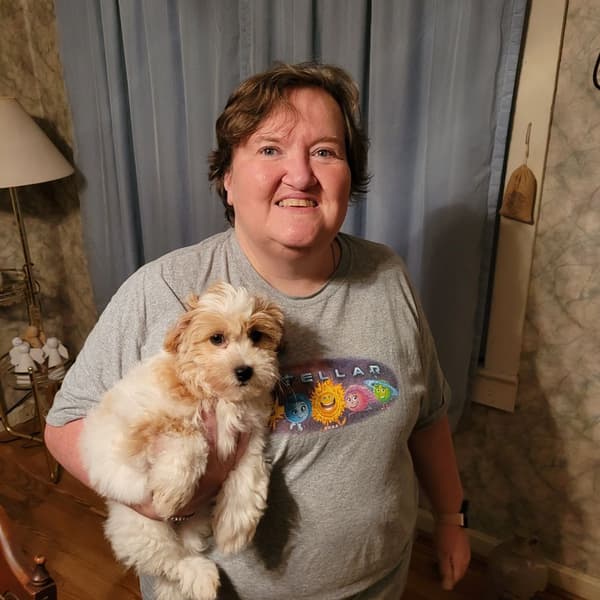 Customer photo of Shih-Poo - Shihpoo puppy from Cynthia F. 