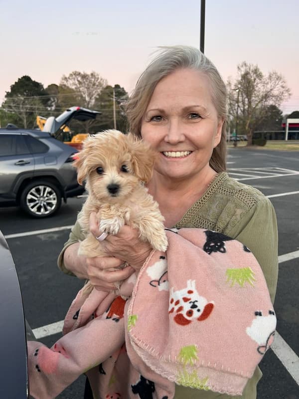 Customer photo of Malti Poo - Maltipoo puppy from Donna H.