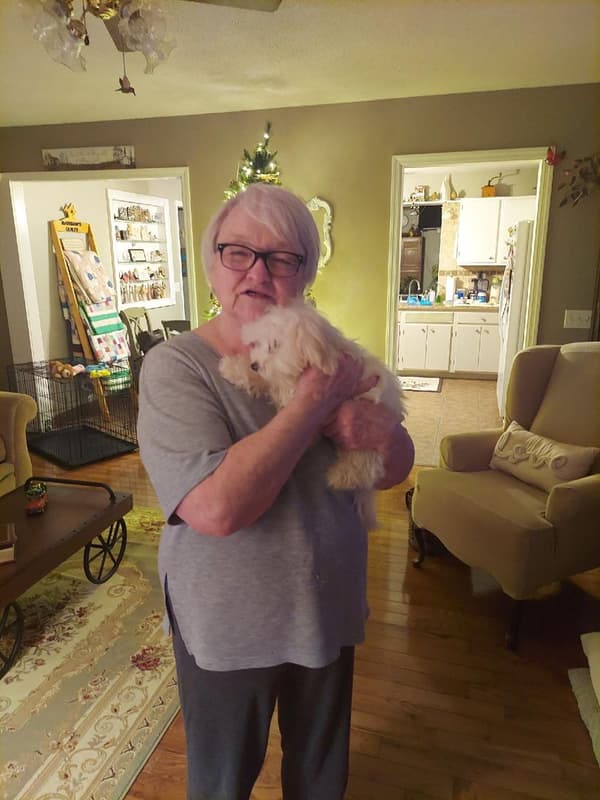 Customer photo of Havanese puppy from Lita J.