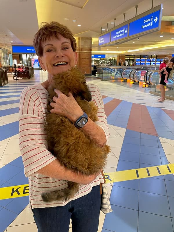 Customer photo of Aussiedoodle puppy from Suzie S.