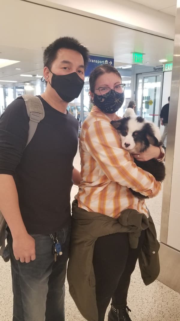 Customer photo of Corgi, Pembroke Welsh puppy from Krystal G.