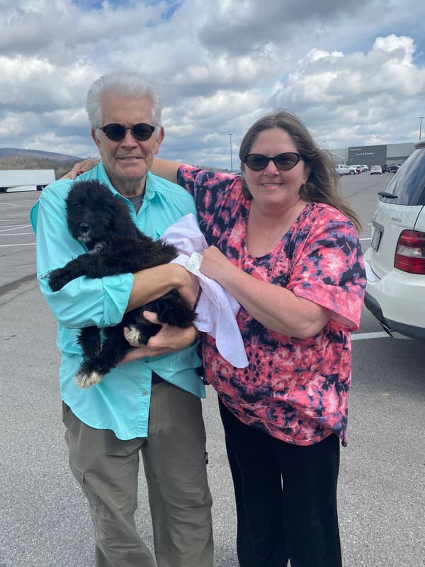 Customer photo of Irishdoodle puppy from Tamberli R.