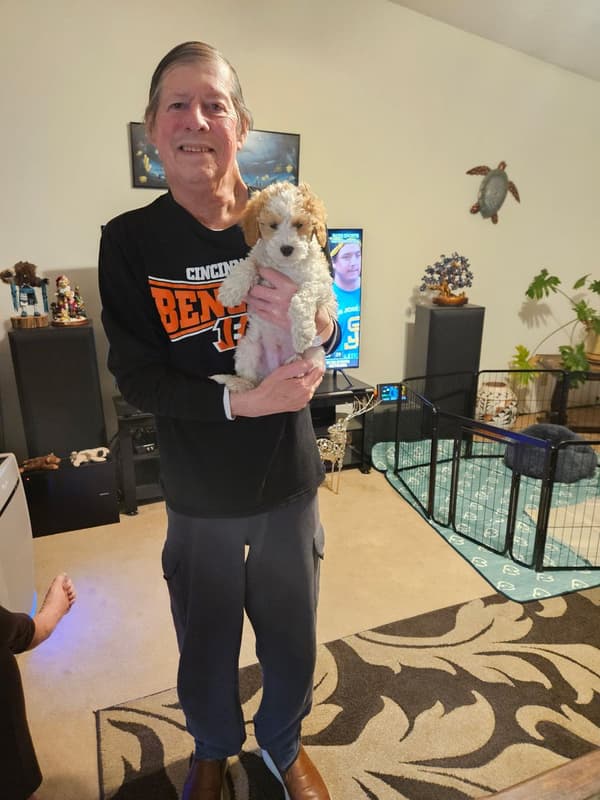 Customer photo of Goldendoodle, Mini puppy from Mark S.