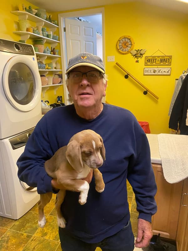 Customer photo of Puggle puppy from Leroy S.