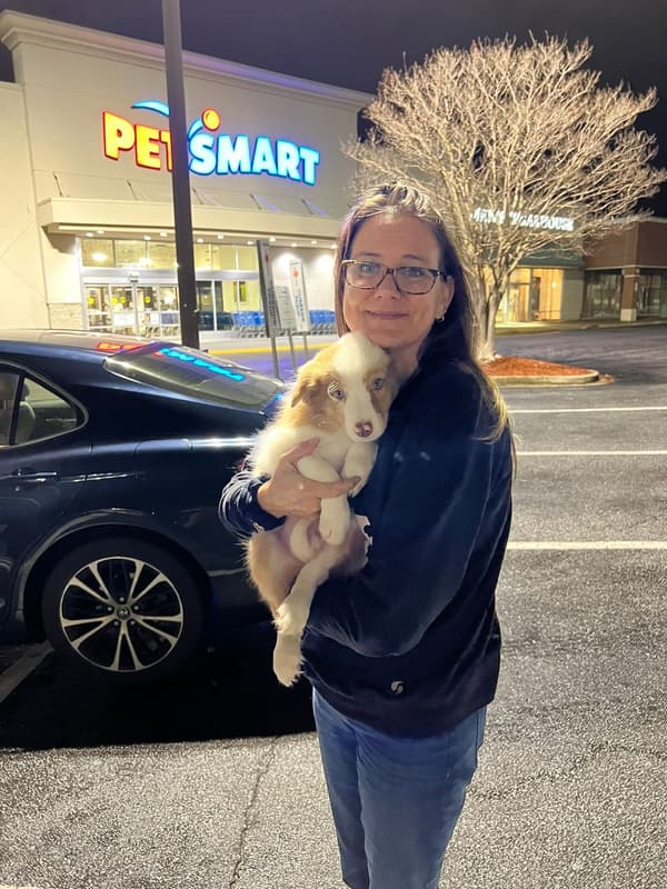 Customer photo of Border Collie puppy from Alaire H.