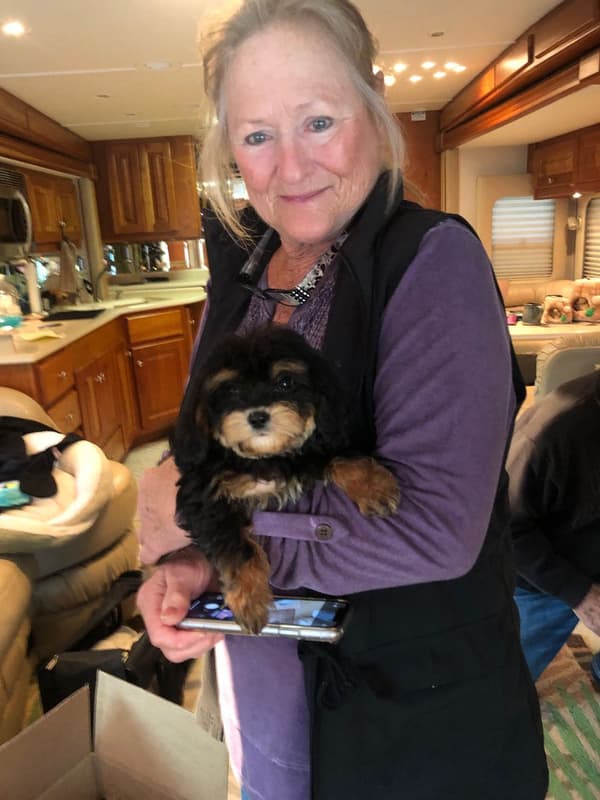 Customer photo of Cavapoo puppy from Connie G.