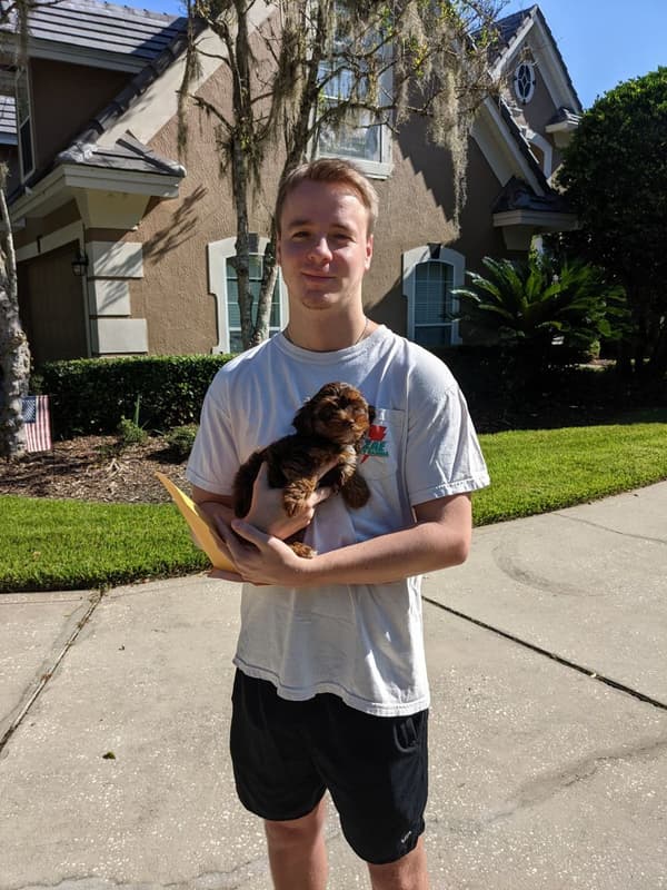 Customer photo of Yorkiepoo - Yorkie Poo puppy from Tyler T.