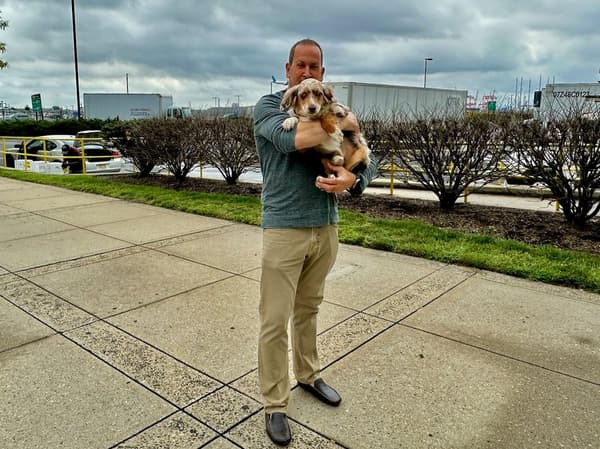 Customer photo of Miniature Australian Shepherd puppy from Marc R.