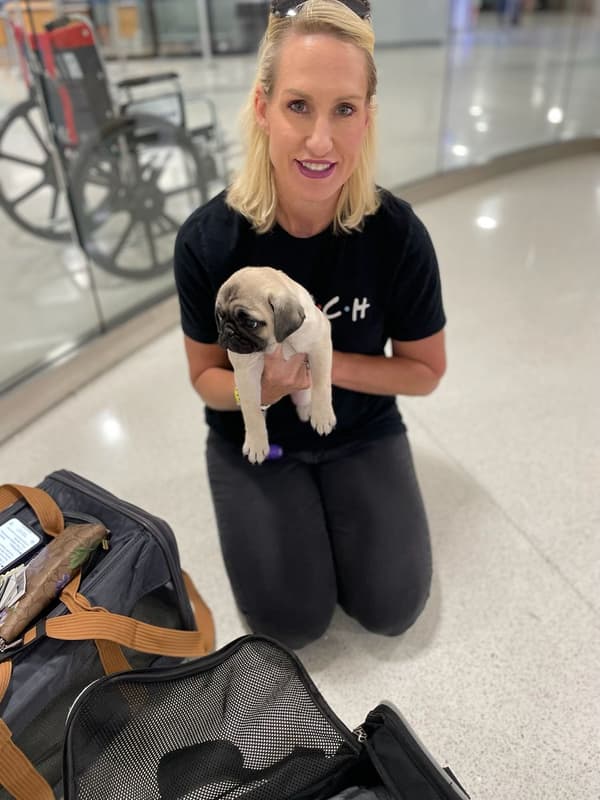 Customer photo of Pug puppy from Ed B.