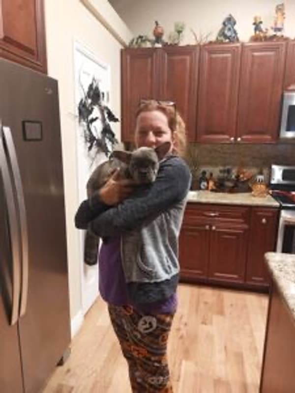 Customer photo of French Bulldog puppy from Carri C.
