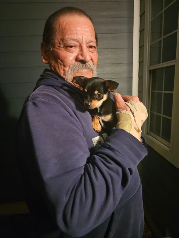 Customer photo of Chihuahua puppy from Laurie M.