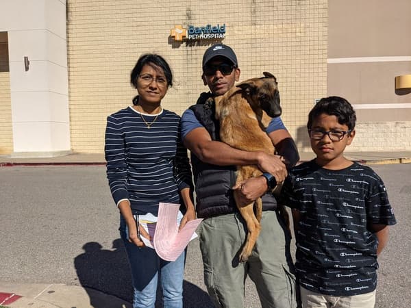 Customer photo of Belgian Malinois puppy from Ishwar R.