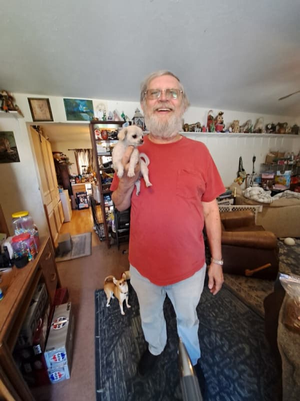 Customer photo of Chihuahua puppy from Ronald L.