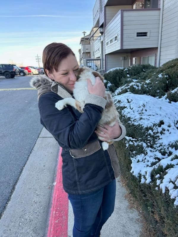 Customer photo of Miniature Australian Shepherd puppy from Sara H.