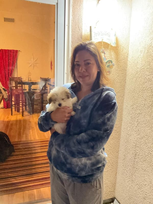 Customer photo of Malti Poo - Maltipoo puppy from Talia R.