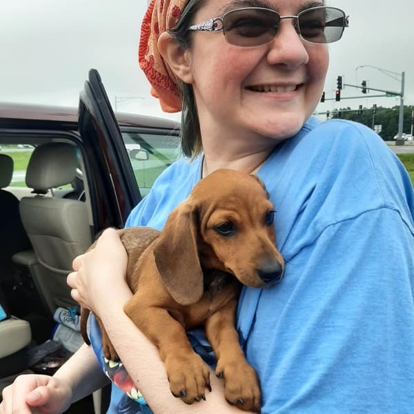 Customer photo of Dachshund, Mini puppy from Heather W.