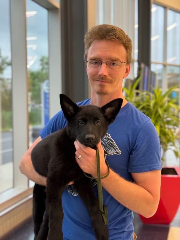 Customer photo of German Shepherd puppy from Thomas S.