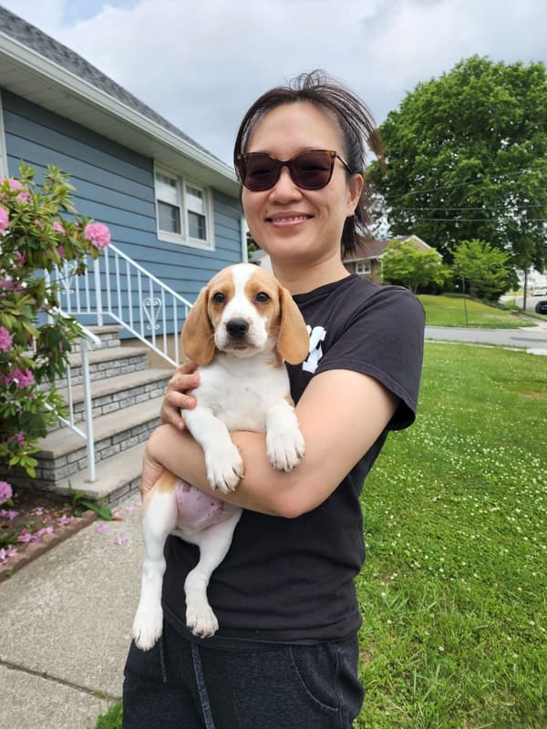 Customer photo of Beagle puppy from Lisa R.