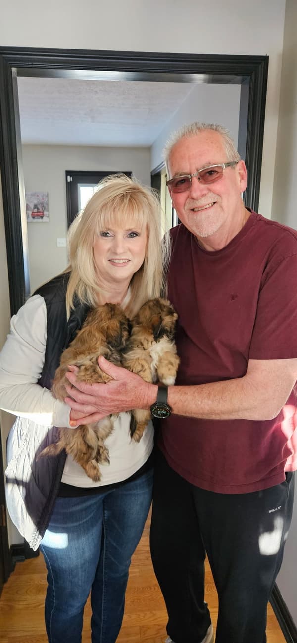 Customer photo of Shih Tzu puppy from Steven B.