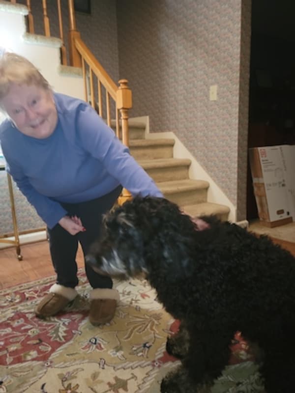 Customer photo of Bernedoodle puppy from Sharon G.