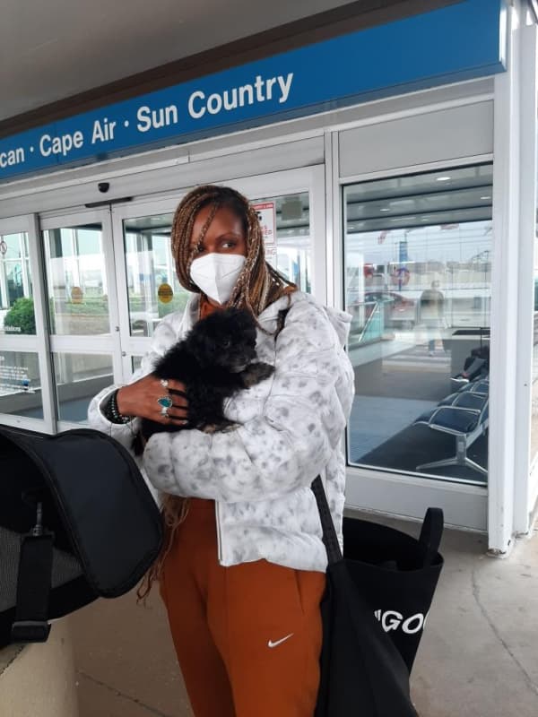 Customer photo of Havanese puppy from Imani D.