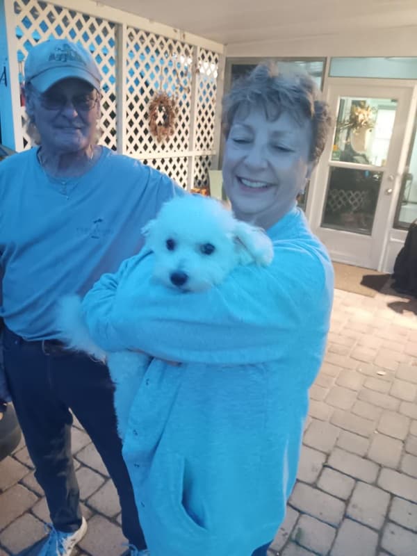 Customer photo of Bichon Frise puppy from James D.