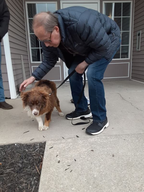 Customer photo of Australian Shepherd puppy from Norman F.