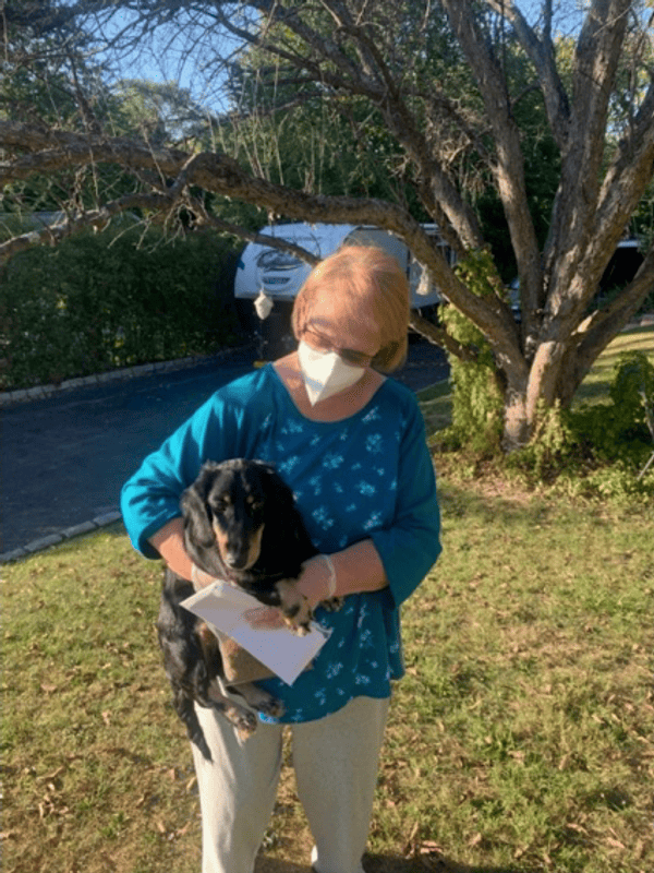 Customer photo of Dachshund, Mini puppy from Mary S.