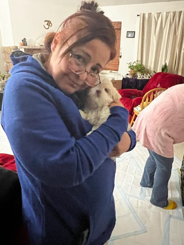 Customer photo of Shih Tzu puppy from Doris C.