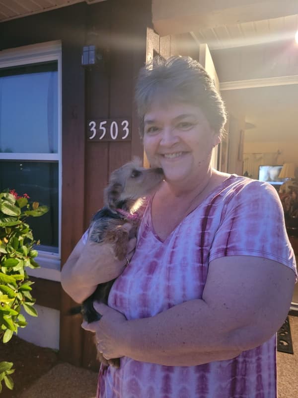 Customer photo of Yorkshire Terrier - Yorkie puppy from Kim D.