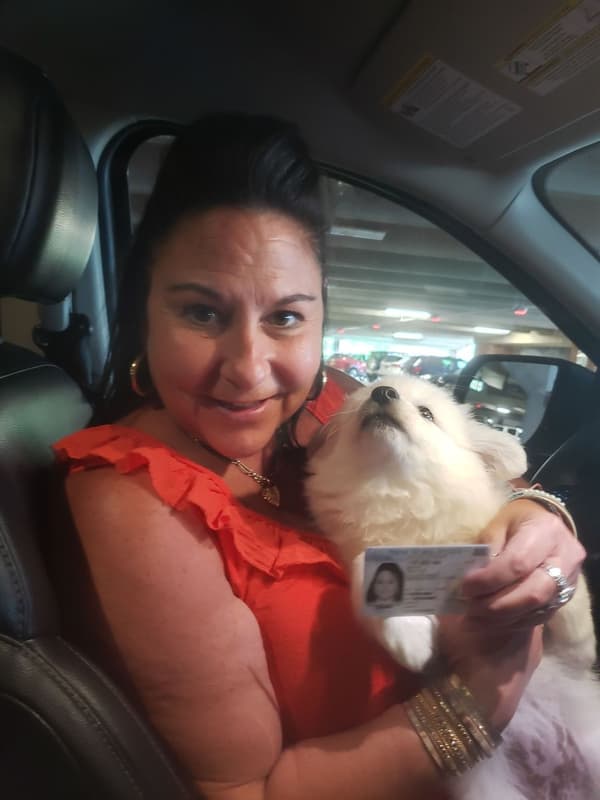 Customer photo of American Eskimo Dog puppy from Holly S.