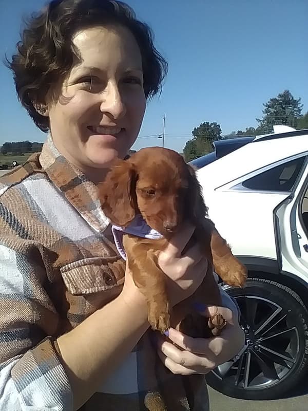 Customer photo of Dachshund, Mini puppy from Teresa L.