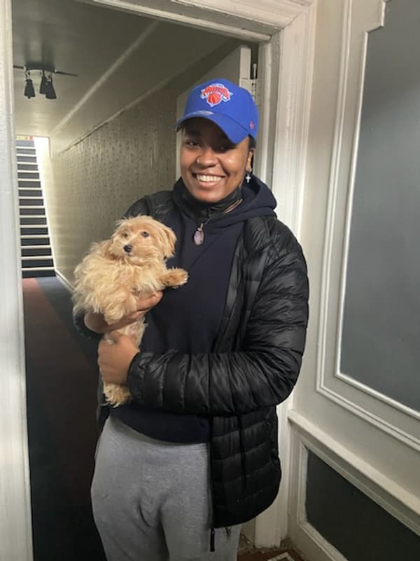 Customer photo of Malti Poo - Maltipoo puppy from Crista E.