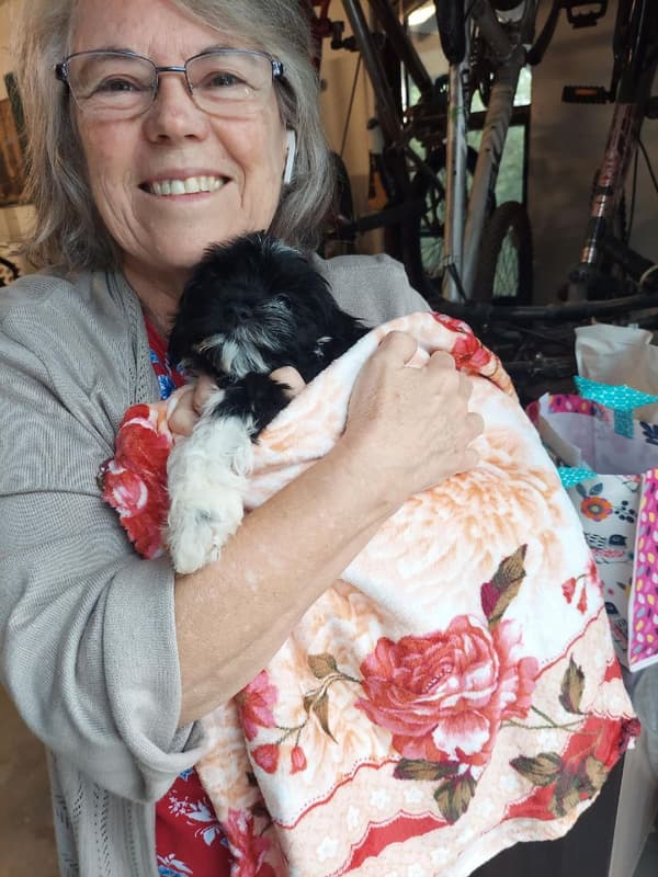 Customer photo of Havanese puppy from Esme R.