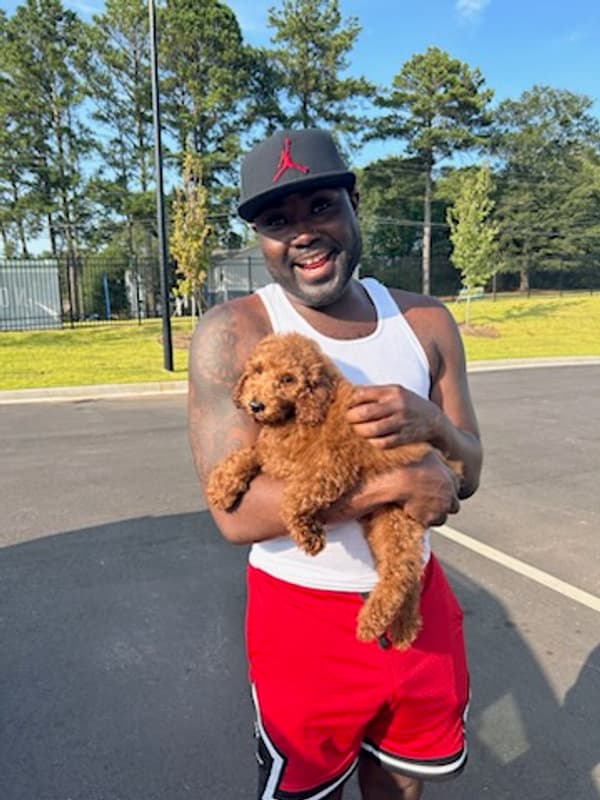 Customer photo of Poodle, Miniature puppy from Maurice P.