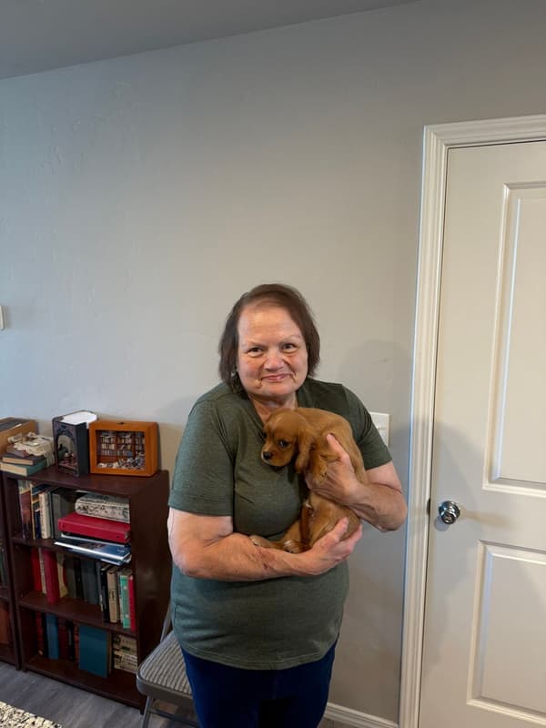Customer photo of Cavalier King Charles Spaniel puppy from Eugenia C.