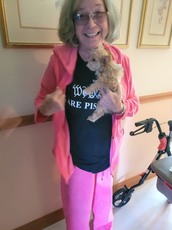 Customer photo of Yorkshire Terrier - Yorkie puppy from Carol B.