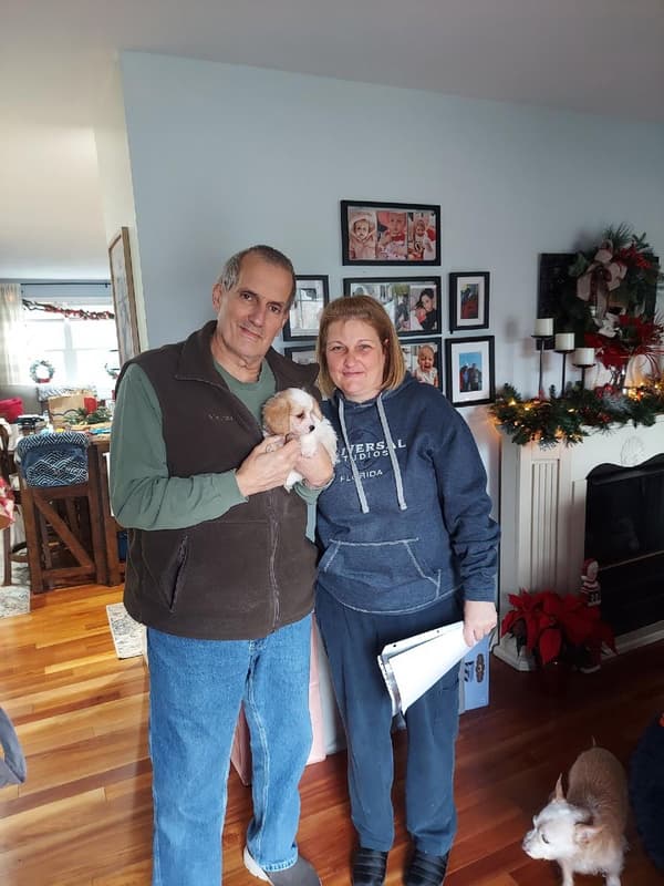 Customer photo of Cavachon puppy from Laura C.