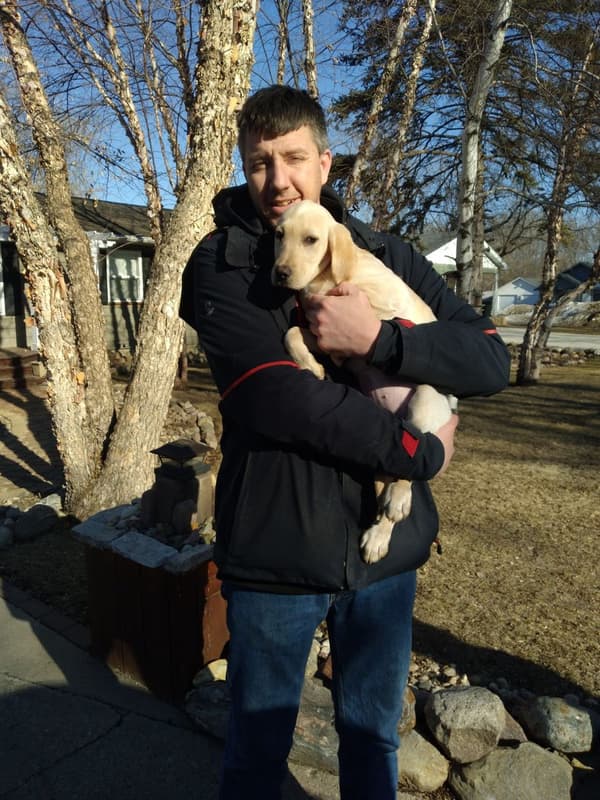 Customer photo of Labrador Retriever puppy from Daniel W.