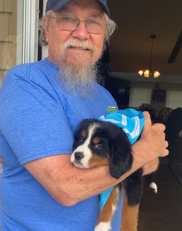 Customer photo of Bernese Mountain Dog puppy from Harry B.