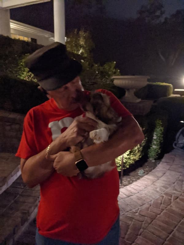 Customer photo of Sheepadoodle puppy from Matthew J.