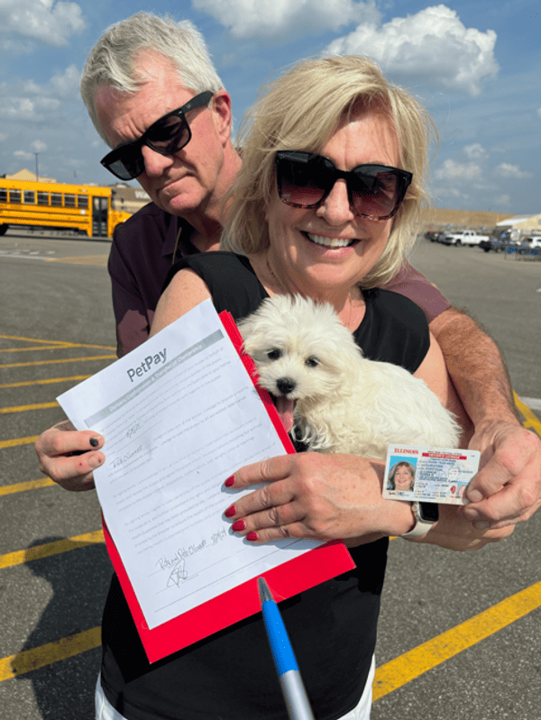 Customer photo of Maltese puppy from Debra O.