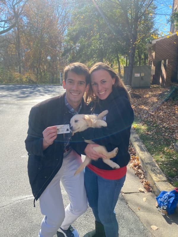 Customer photo of Golden Retriever puppy from Matthew H.